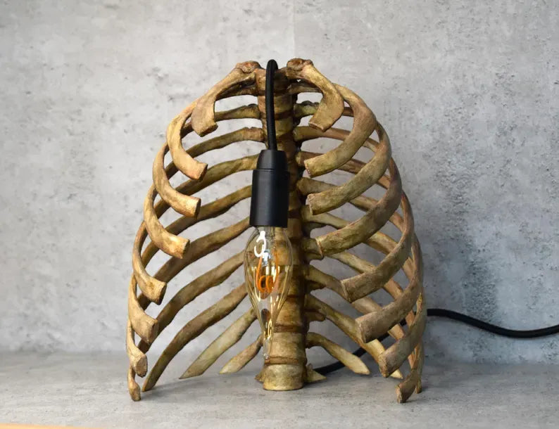 💀 Anatomical Rib Cage Lamp | Gothic Skull Spine Table Light