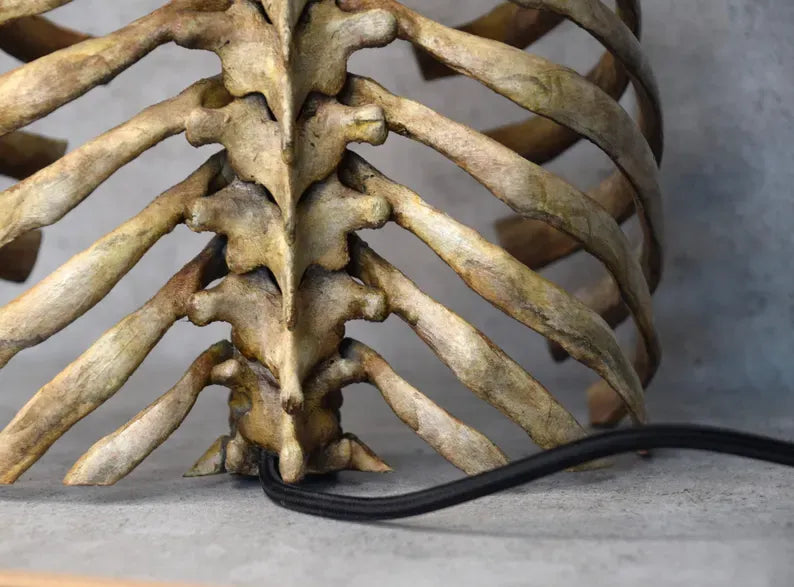 💀 Anatomical Rib Cage Lamp | Gothic Skull Spine Table Light