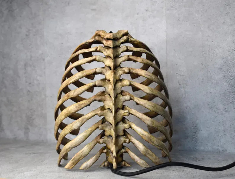 💀 Anatomical Rib Cage Lamp | Gothic Skull Spine Table Light